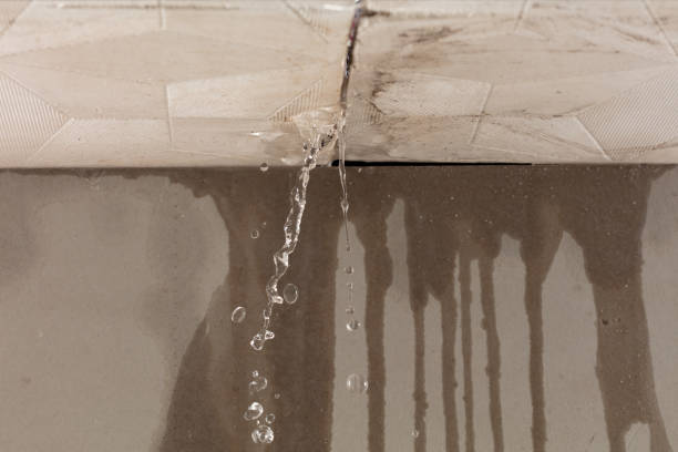 Professional Structural Drying technician working in South Haven, MI